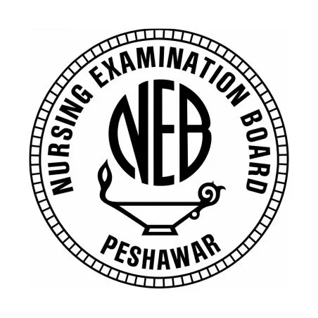 Nursing Examination Board